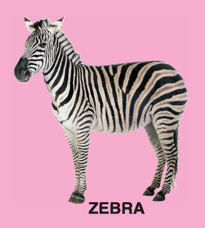 Sparkle Board Book - Animals - Tinycubs - 