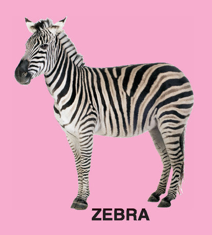 Sparkle Board Book - Animals - Tinycubs - 