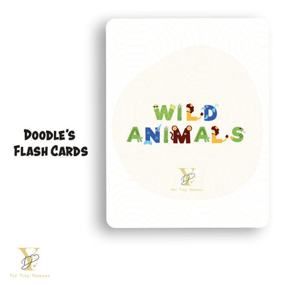 Wild Animals Flash Cards & Diwali Bodysuit Gift Set - Tinycubs - 