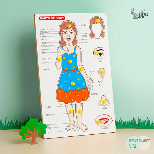 Wooden Picture Educational Board - BODYPART Puzzle - Tinycubs - 
